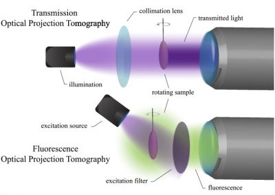 Recent advances in optical tomography in low scattering media