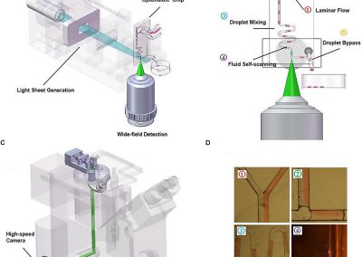 Applications of Light-Sheet Microscopy in Microdevices