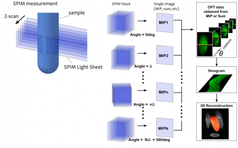 Light Sheet Microscopy (LSFM/SPIM) | Plane Light